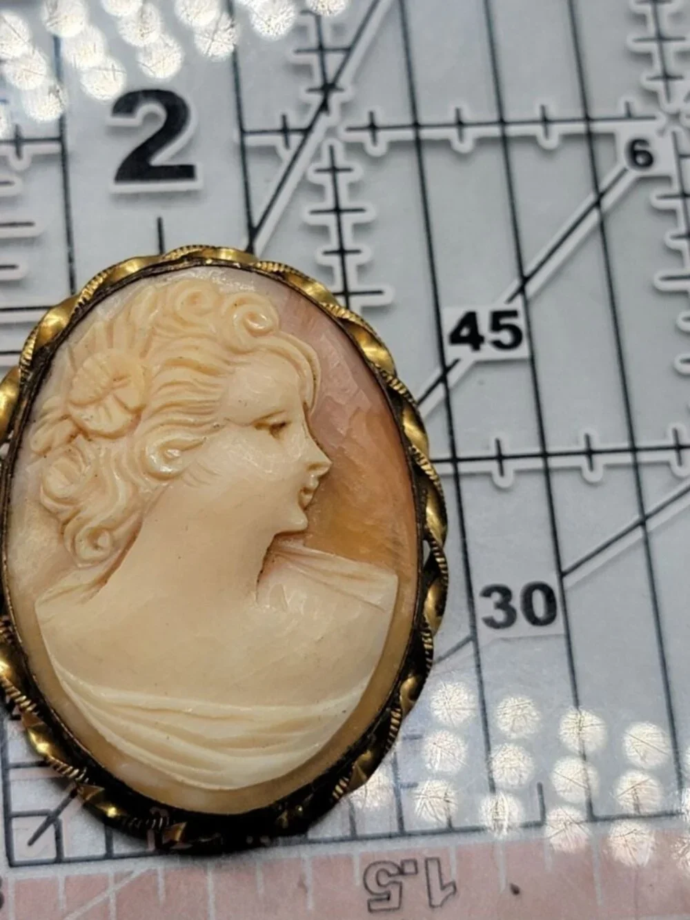 Vintage Carved Cameo Brooch Intricate Woven Frame Mixed Metal Gold Plated Leaves